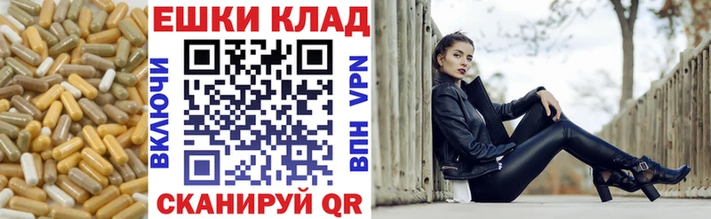 ссылка на мегу ссылки  Химки  ЭКСТАЗИ Philipp Plein 