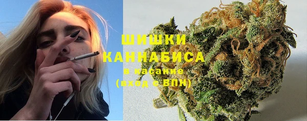 дурь Новозыбков