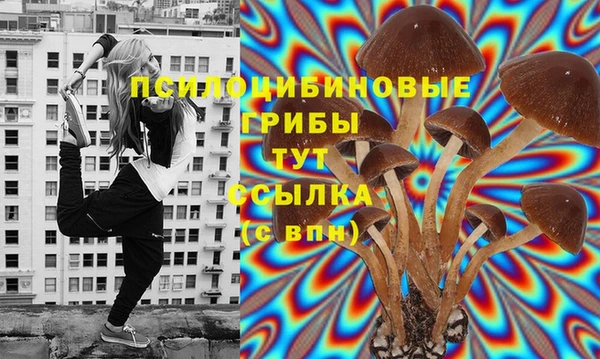 эйфоретик Новодвинск