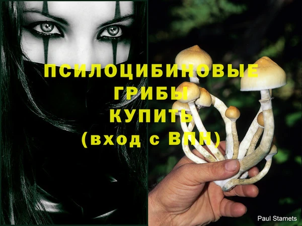 дурь Новозыбков