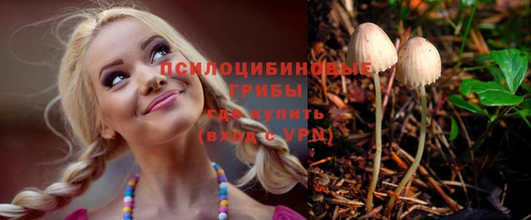 эйфоретик Новодвинск