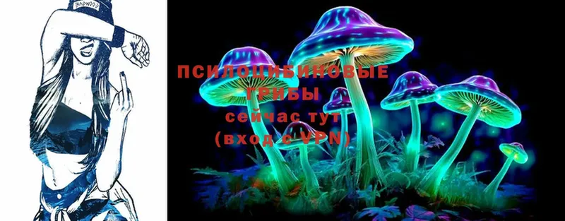 Галлюциногенные грибы MAGIC MUSHROOMS  Химки 