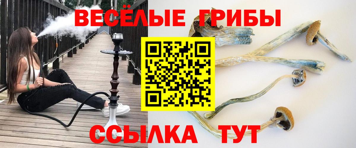 Псилоцибиновые грибы прущие грибы  Вход с VPN  Химки  Галлюциногенные грибы Magic Shrooms 