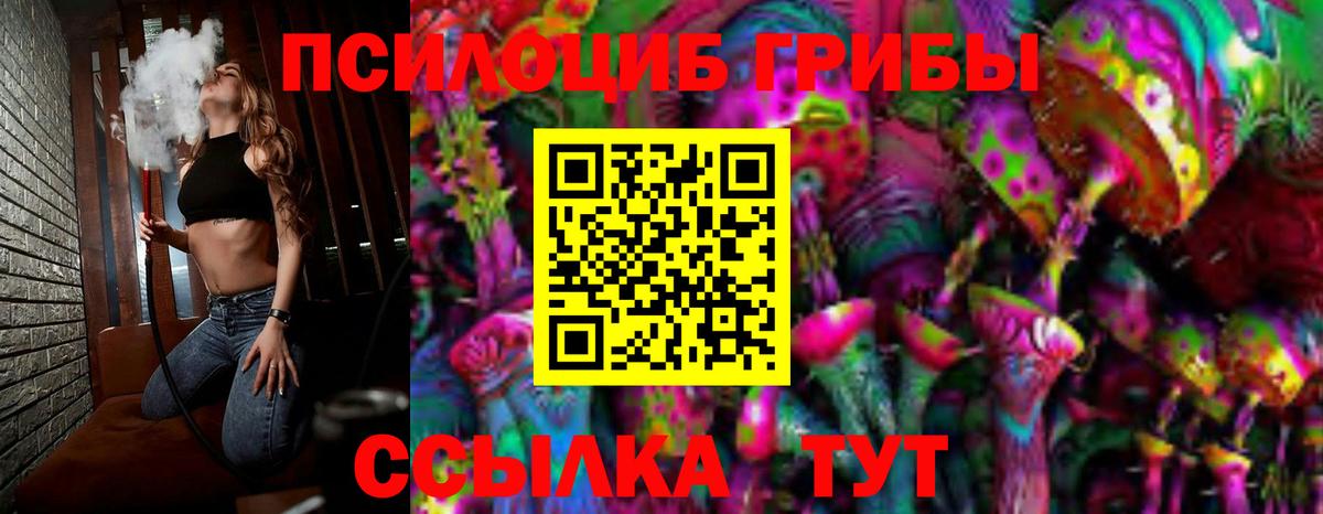 Псилоцибиновые грибы Psilocybine cubensis Химки